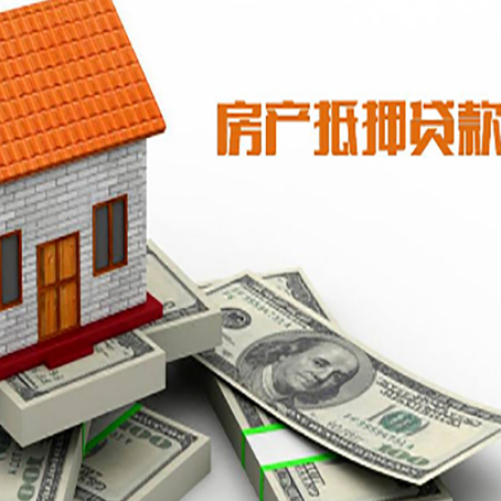 阳山贷款公司新渝启服怎么选择