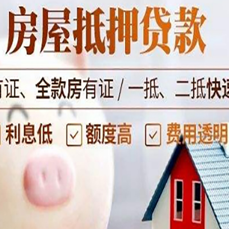 阳山贷款助贷公司新渝启服靠谱公司