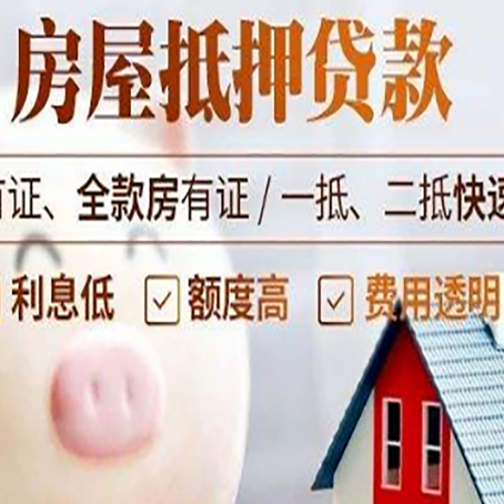 阳山贷款助贷公司新渝启服成立时间久